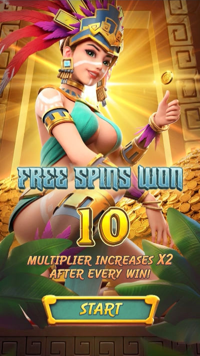 336bet