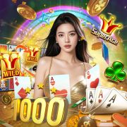 7799bet