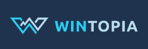 Win11 login